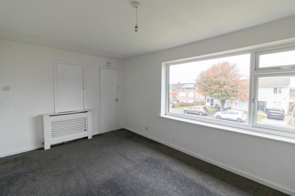 IMAGE 7