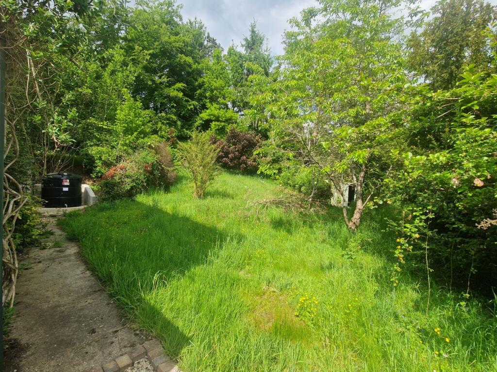 garden2