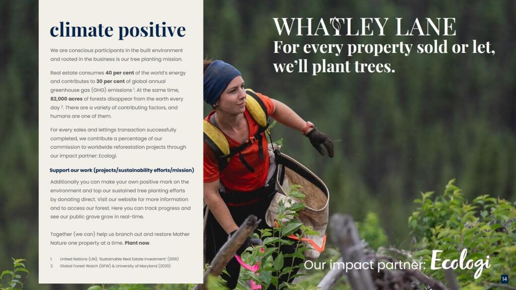 Whatley Lane_CSRi [FINAL CHAPTER] Draft v1.0.jpg