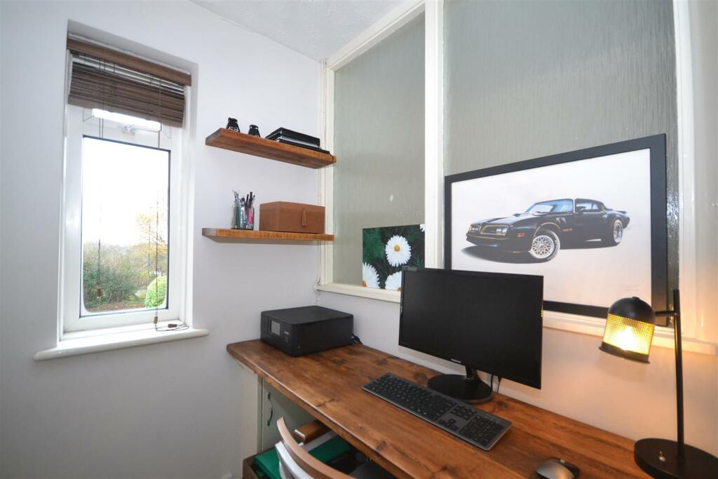 Study Area