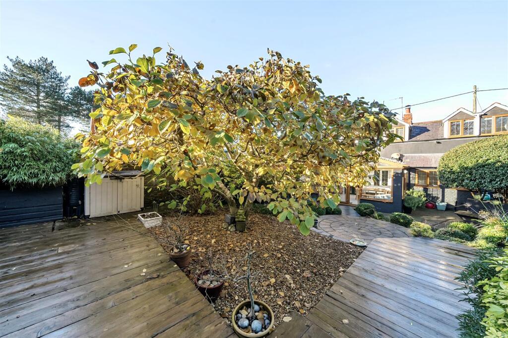 674dad59dd78c-1218044 (30).jpg