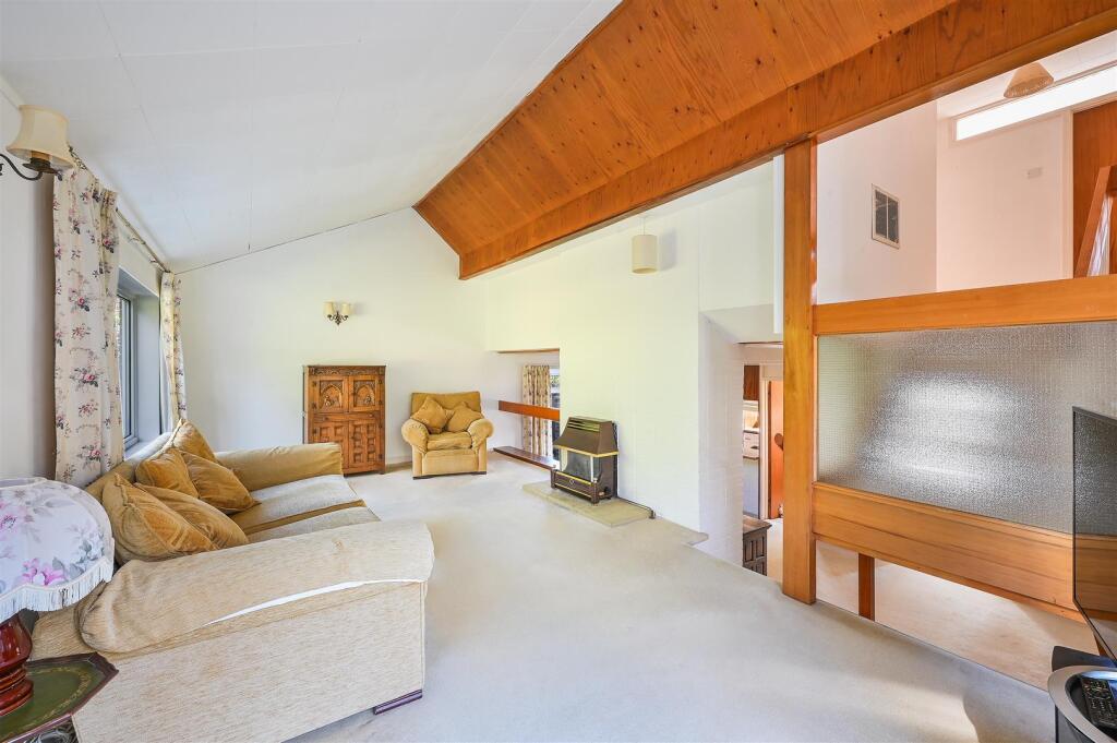 ROSE BUSHES, 15- (8).jpg