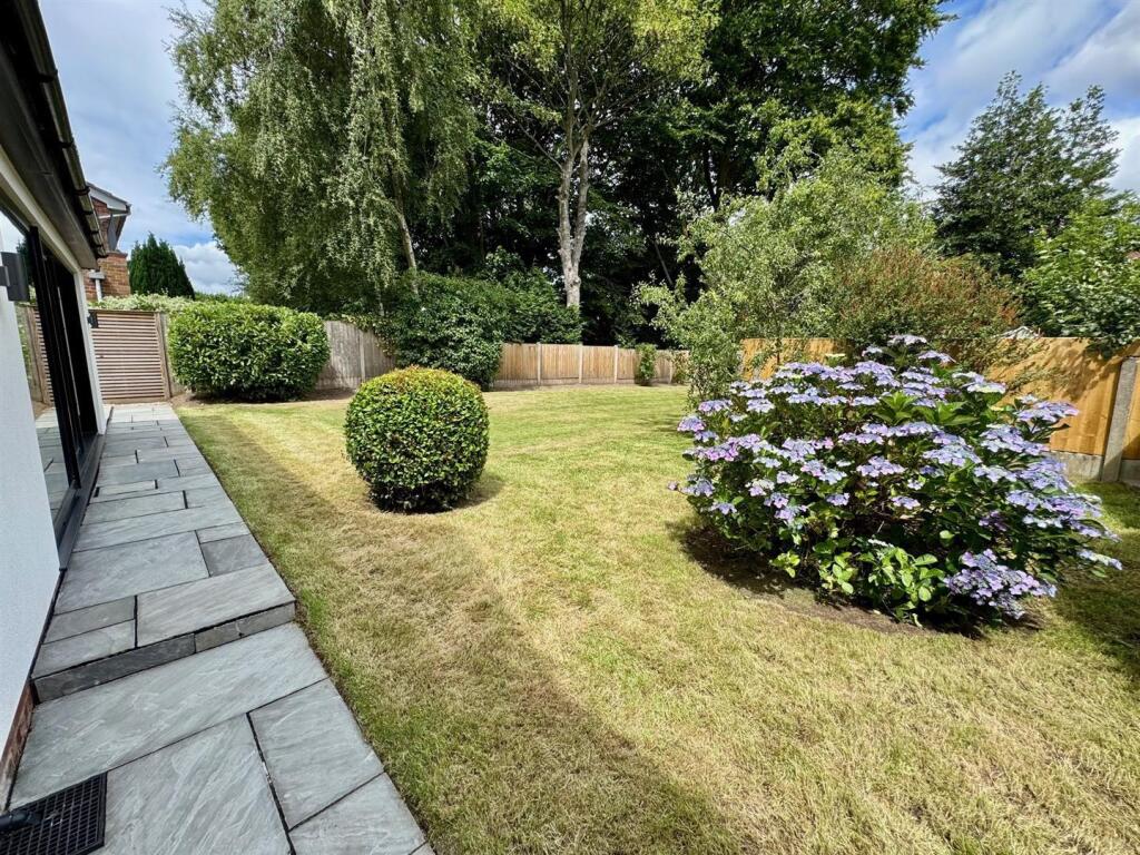 #11 WmREWUeLY0KirrIuyBu2iQ.jpg