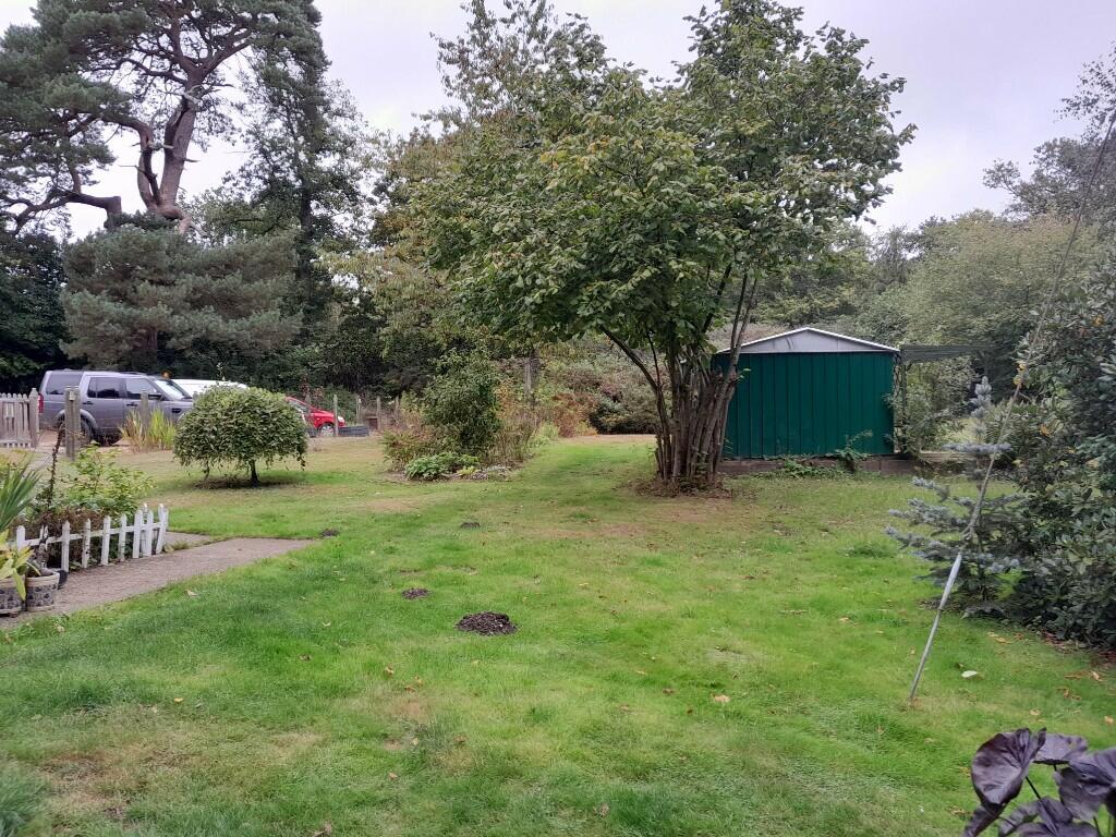 Front garden
