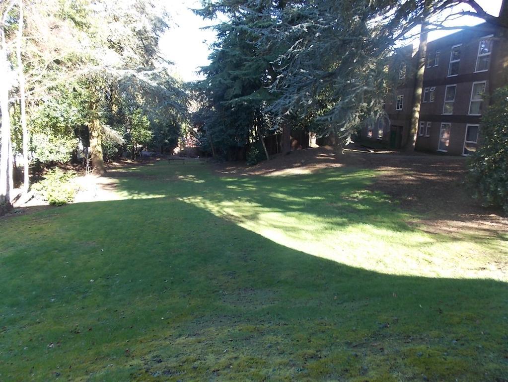 Grounds