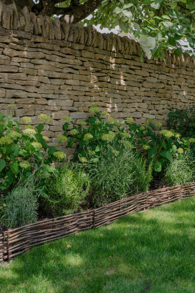 294482 - _A747543.jpg