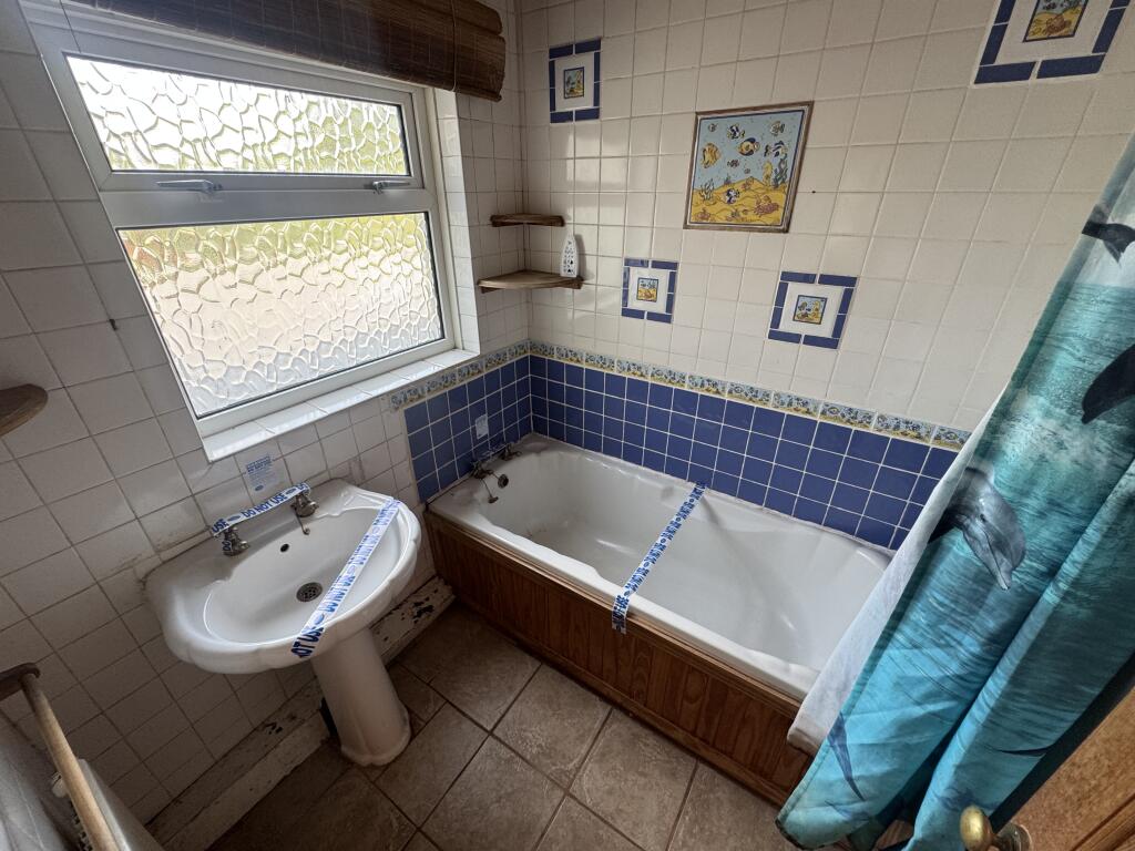 IMG 1101 T202508141031.jpeg