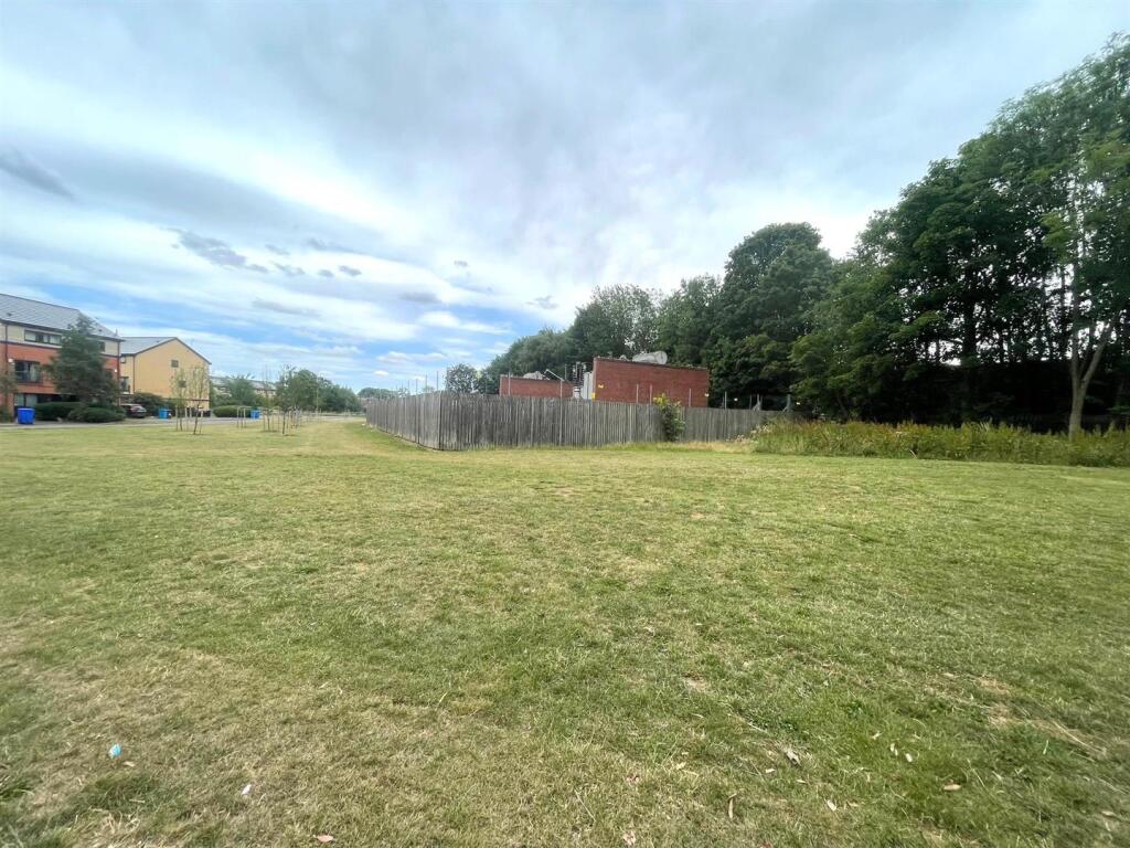 Playing Field.jpg