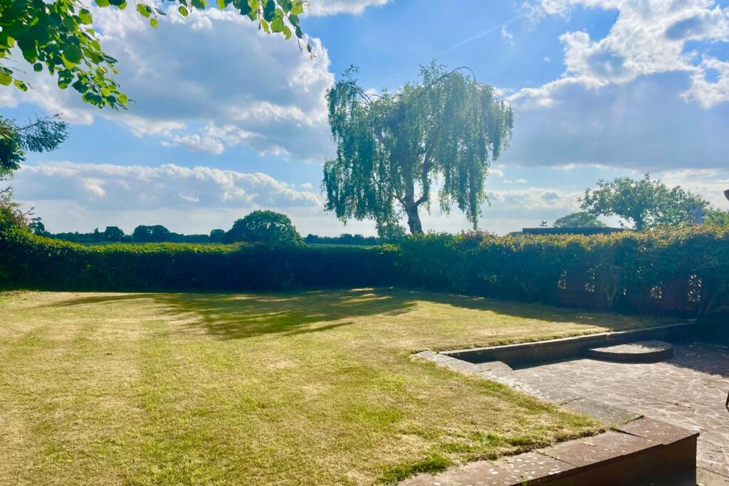 Back Garden