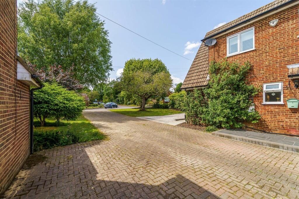 THE BRINDLES, 12 (1).jpg