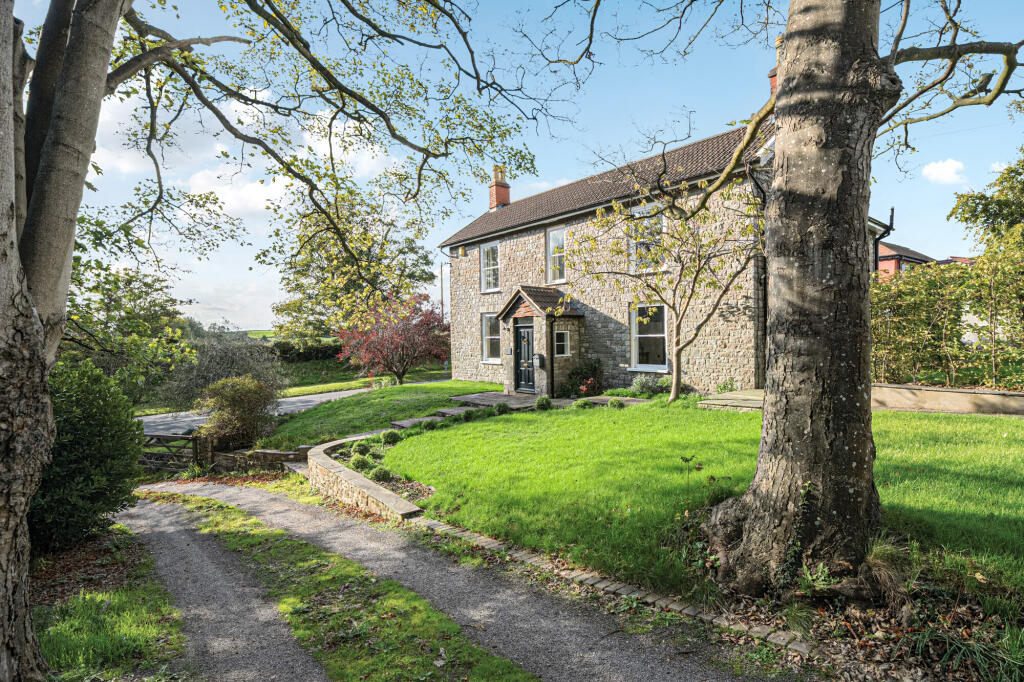 Driveway/Exterior