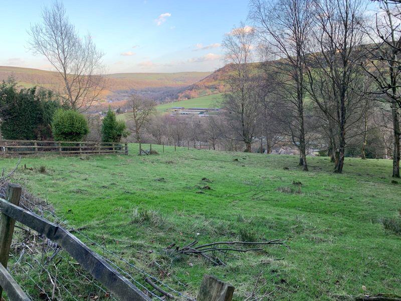 Field Opposite