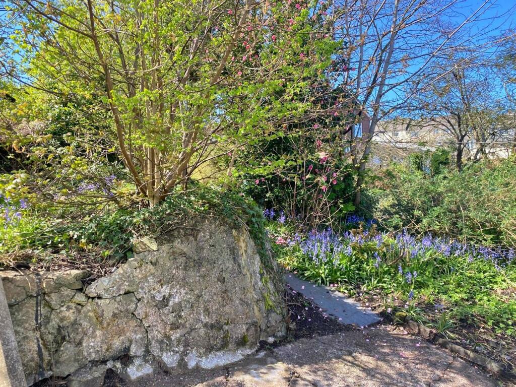 Front Path.jpg