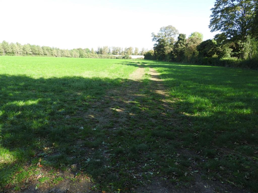 View of plot from the road (1)