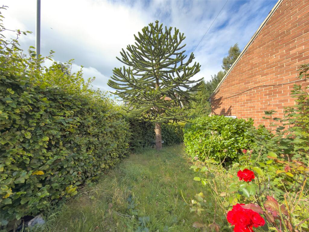 Side Garden