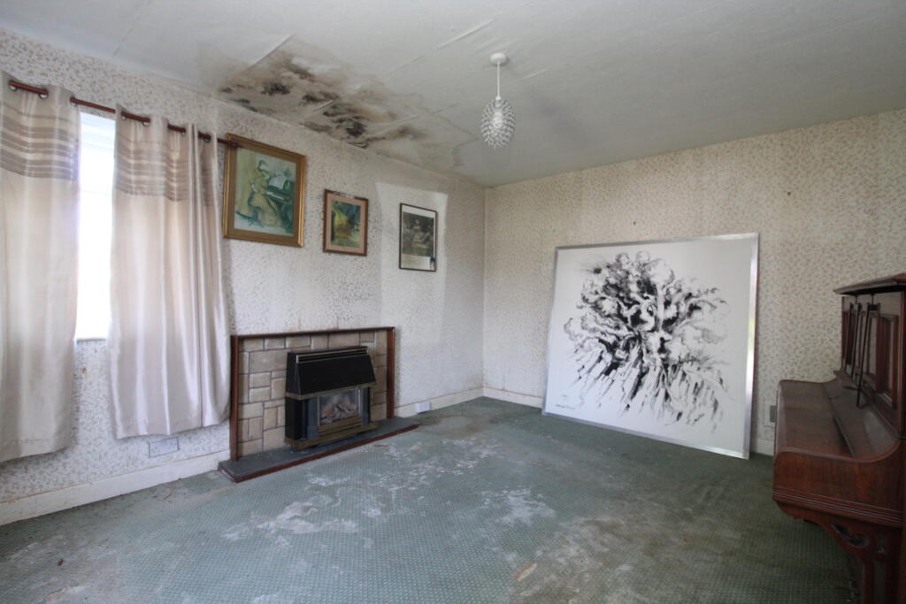 IMG 5047 T202505021626.jpg