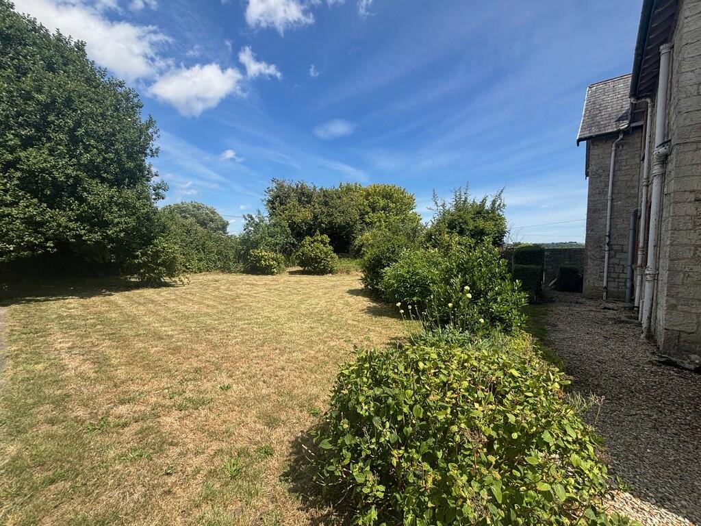 garden 1