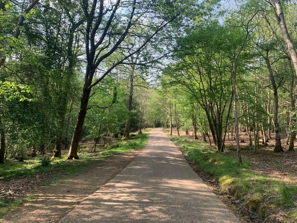 Driveway