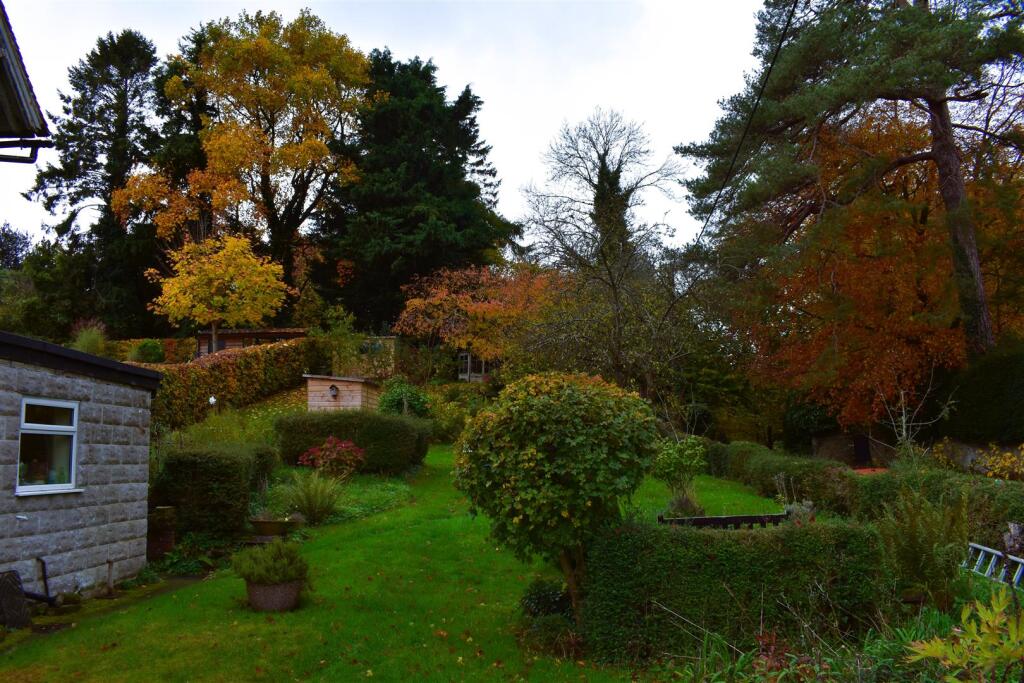 DSC_0007.JPG