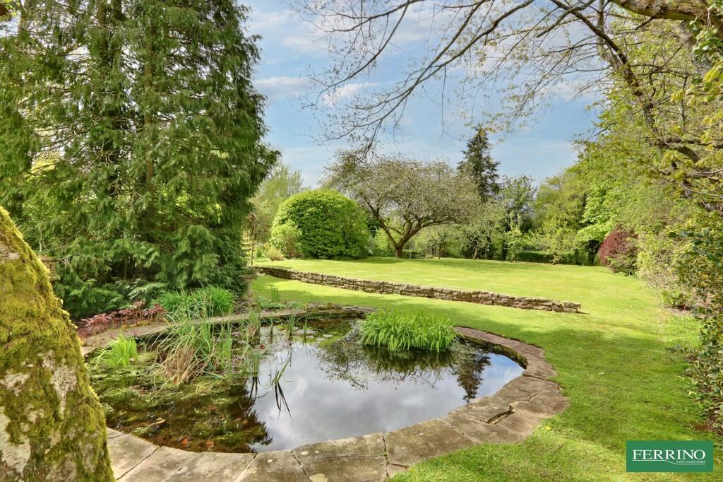 Wildlife Pond