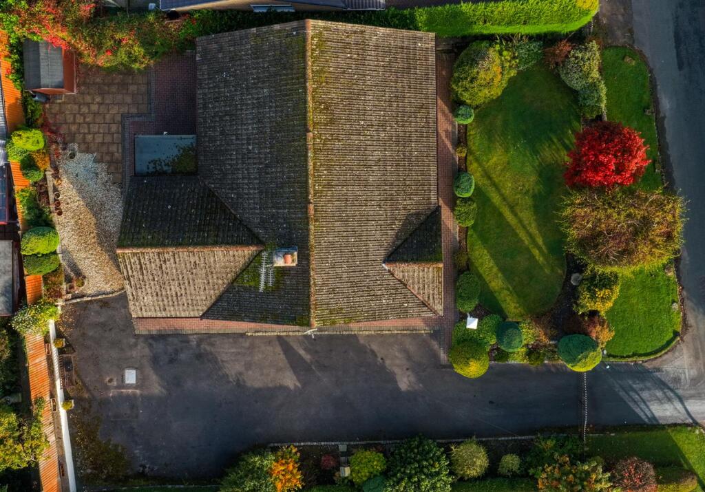 dji_fly_20251012_093838_0004_1760261932658_photo.j