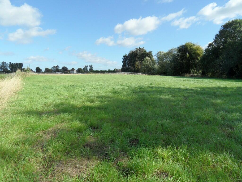 PADDOCK LAND