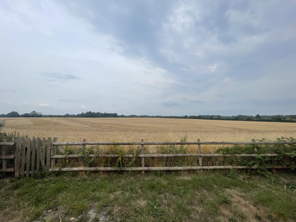 image1 (80)