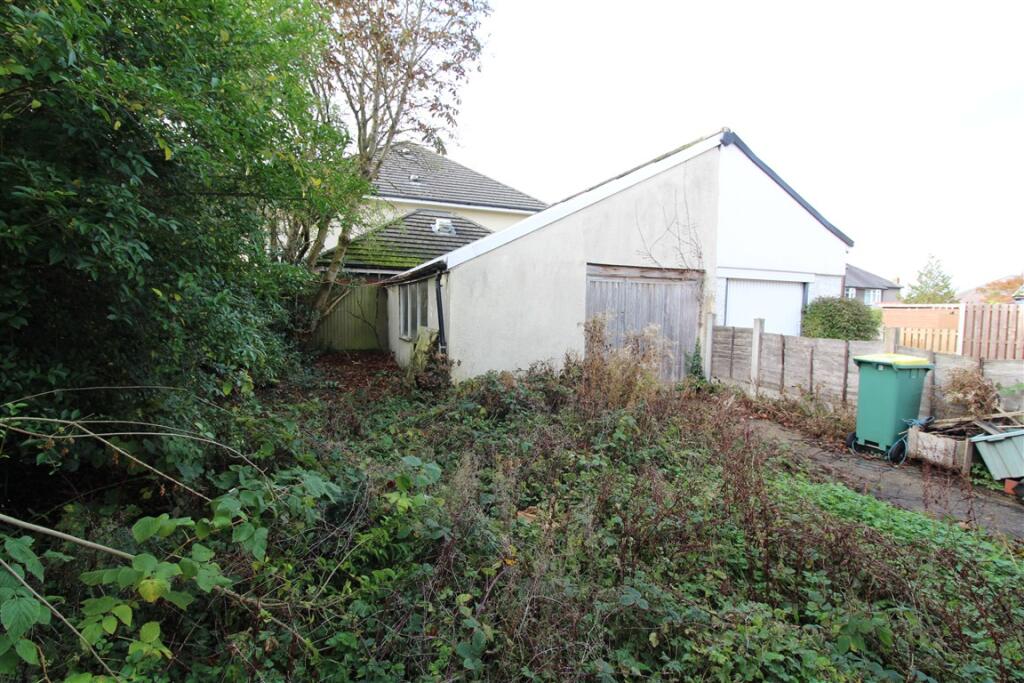 IMG 7154  Medium  T202510301105.jpg