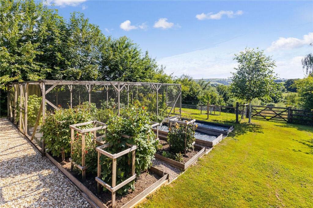 Vegetable Patch