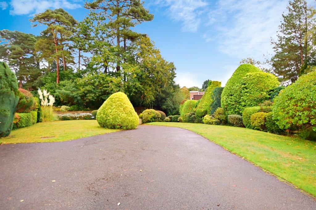 Driveway