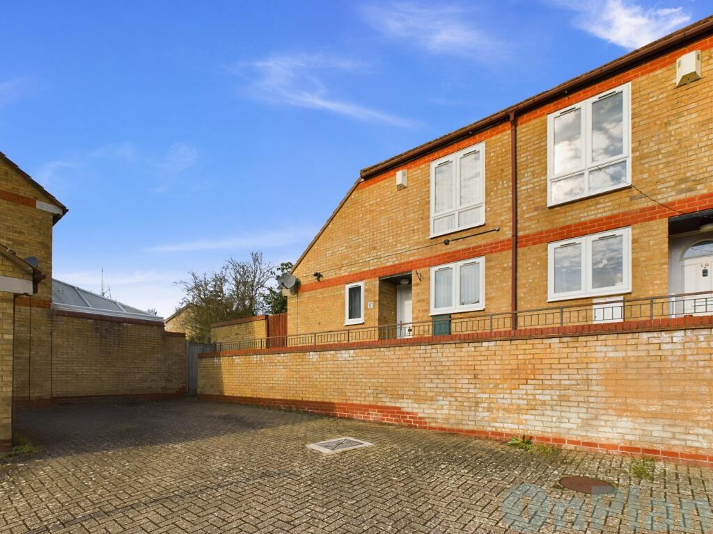 front shot 17 hartwort close 2