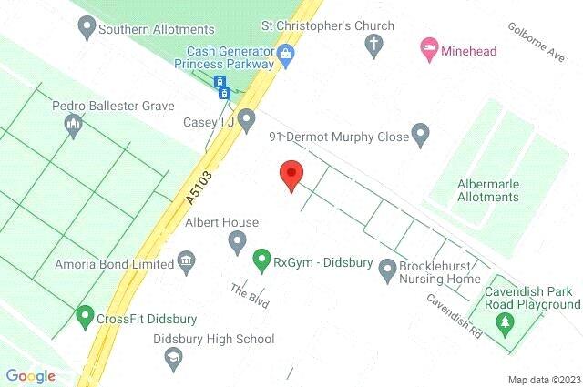 Google Maps Image