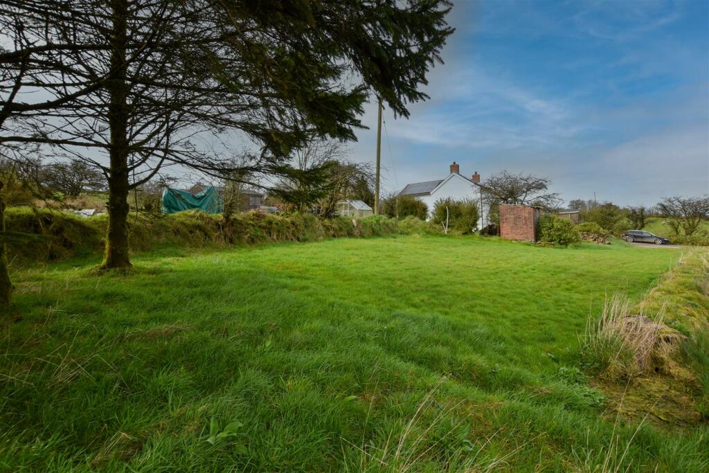 Middle Area / Garden