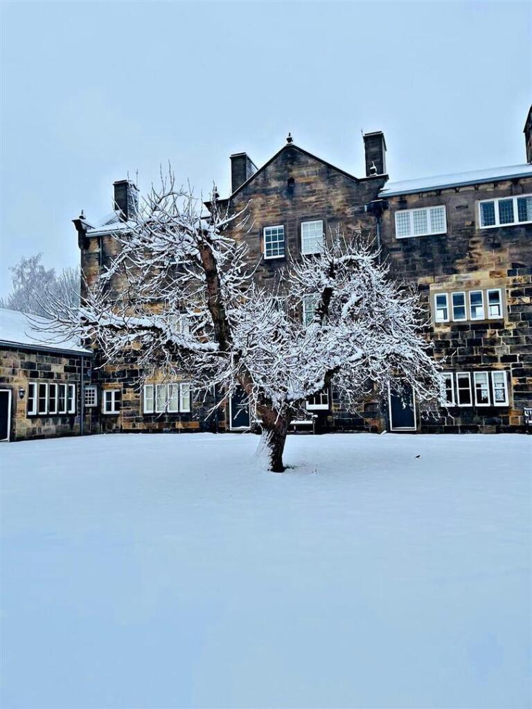 snow picture.jpg
