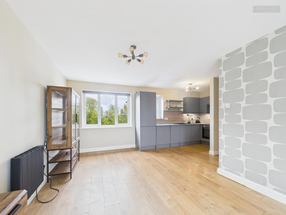 Kitchen/Living Area