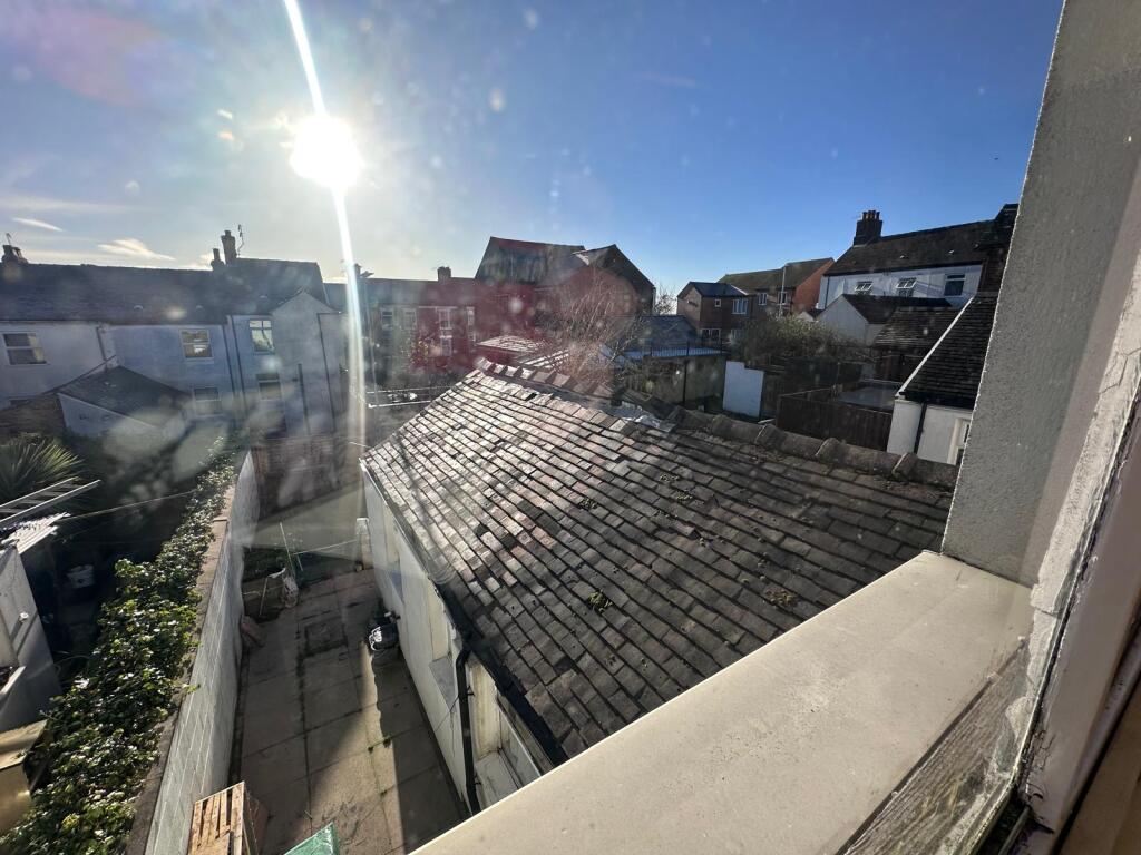 Back Yard.jpg