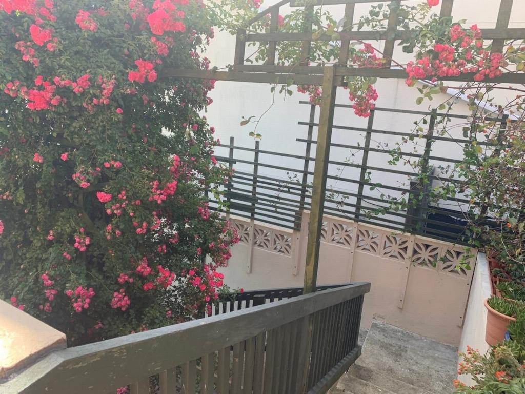 Steps to garden