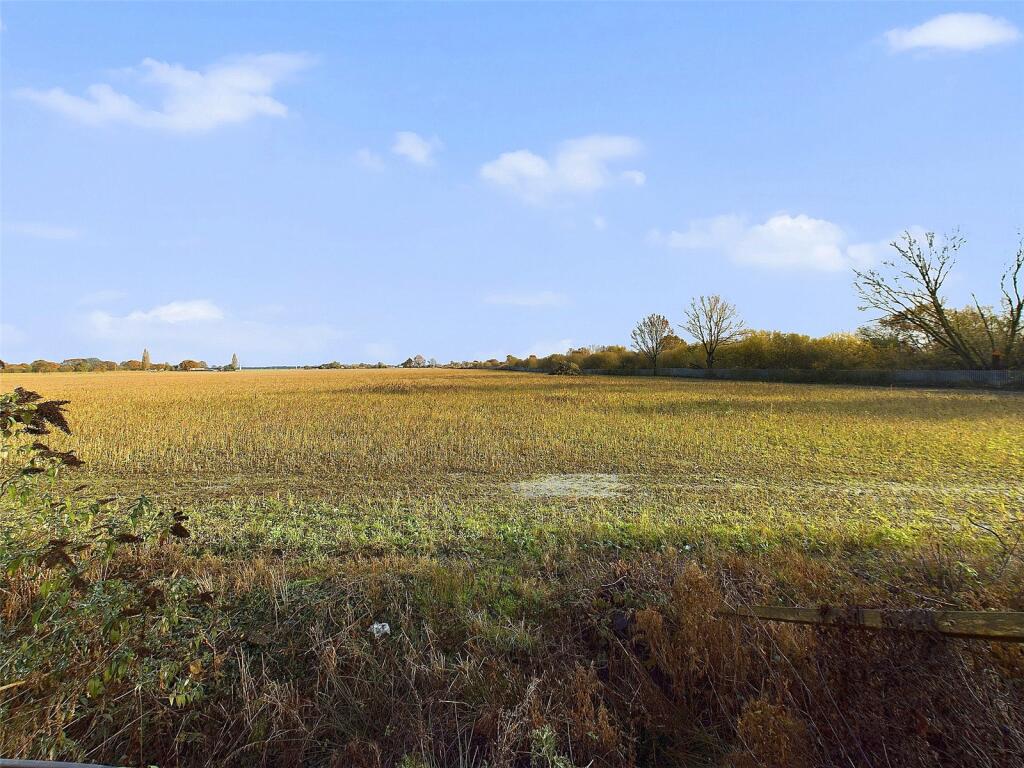 Field View