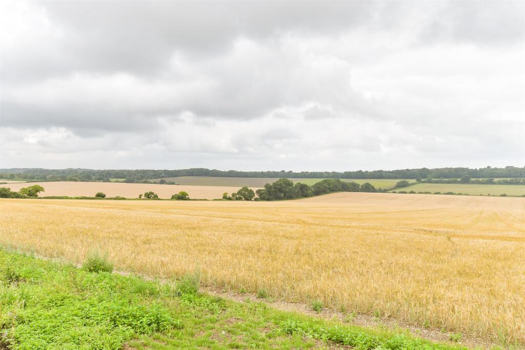 Surrounding Area