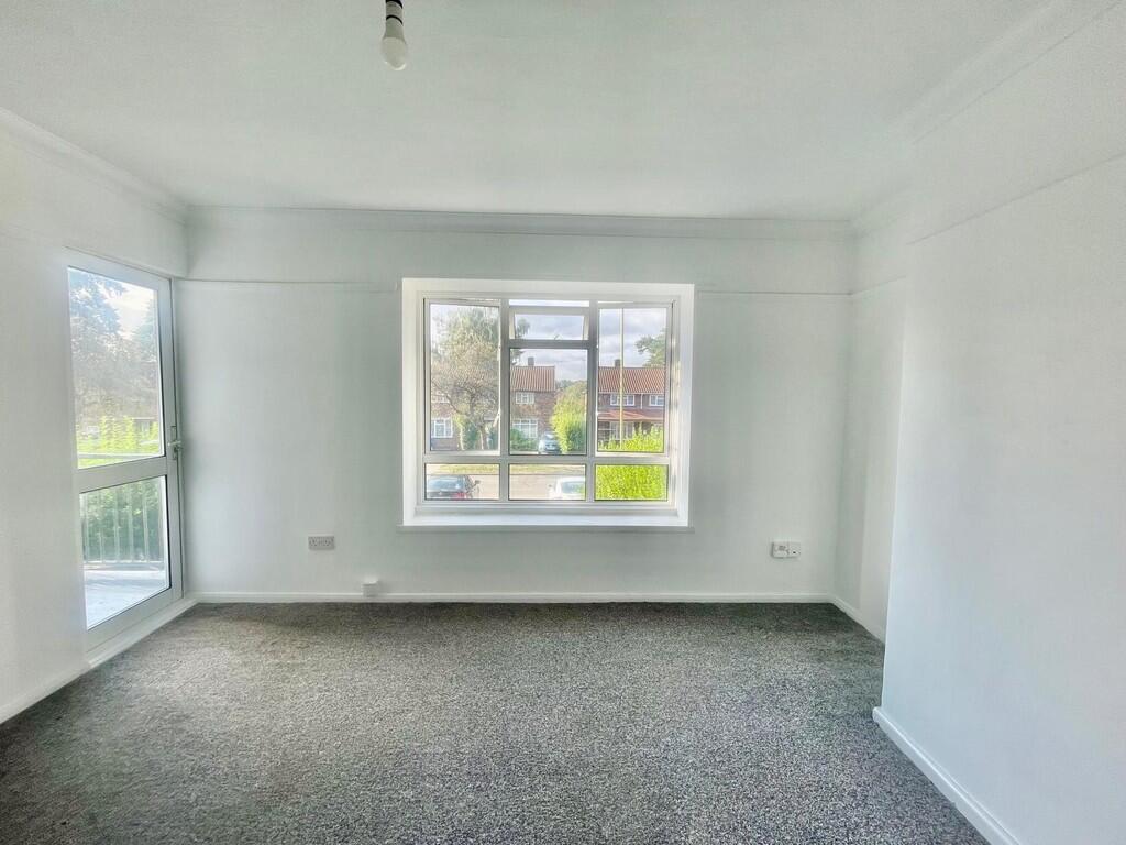 WhatsApp Image 20...