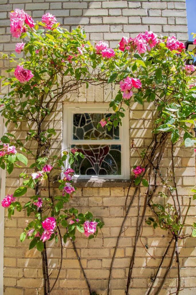 60 Guildhall Street, BSE [Garden] 03.jpg