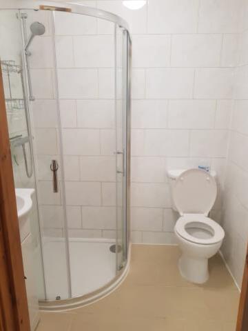 66 goldbeaters toilet