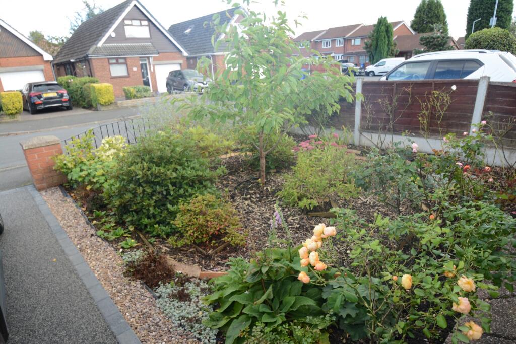 front garden