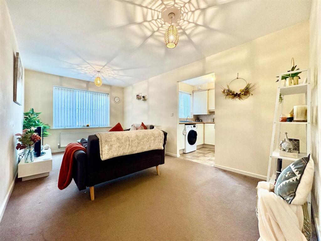 PHOTO-2025-02-18-15-11-07 2.jpg