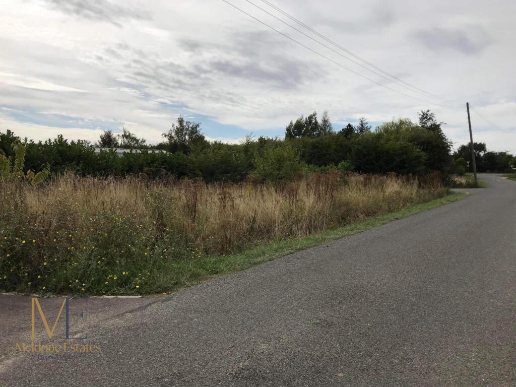 roadside.jpeg