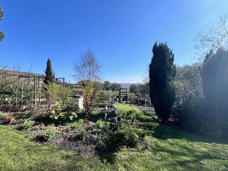 Vegetable Garden
