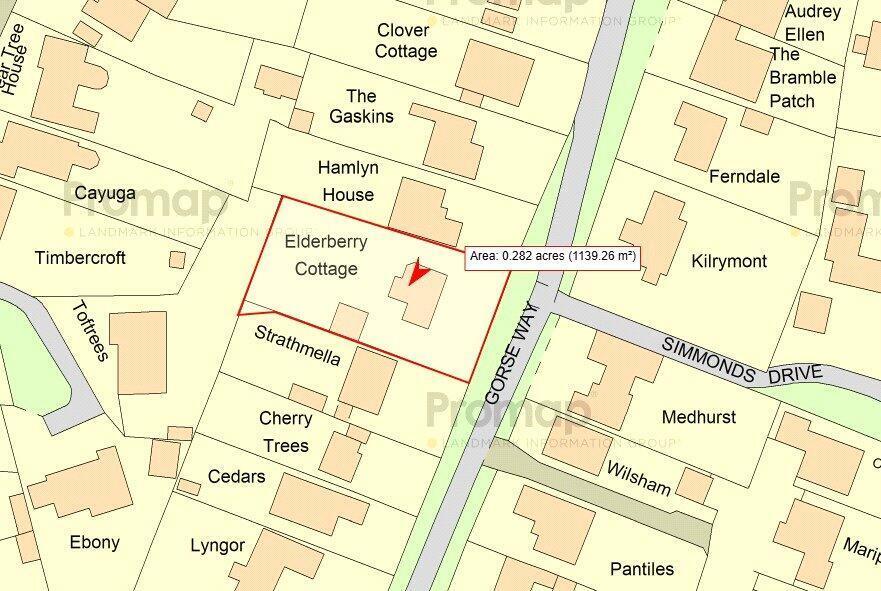 Elderberry photo plan.jpeg