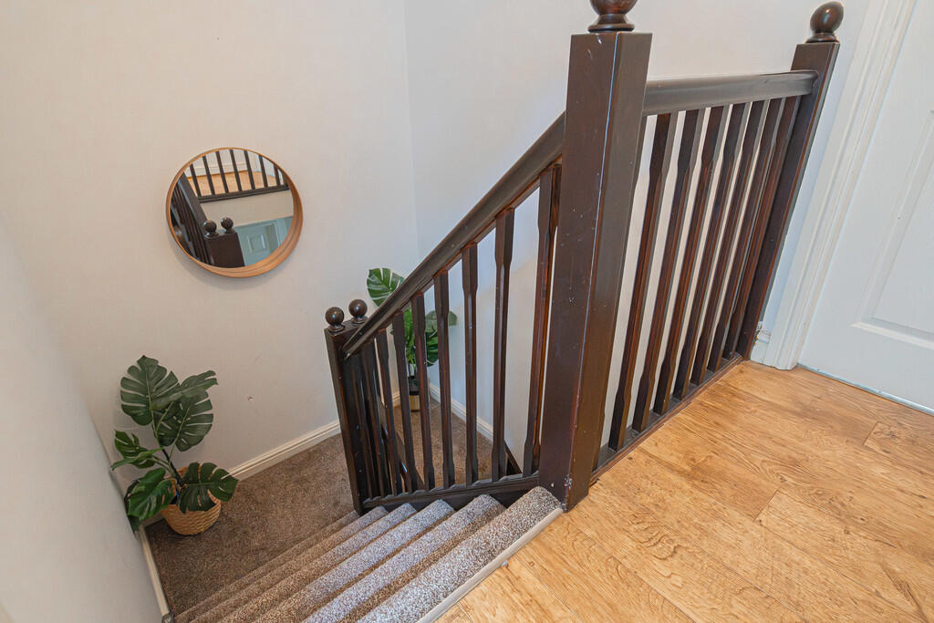 20250701-DSC05077...