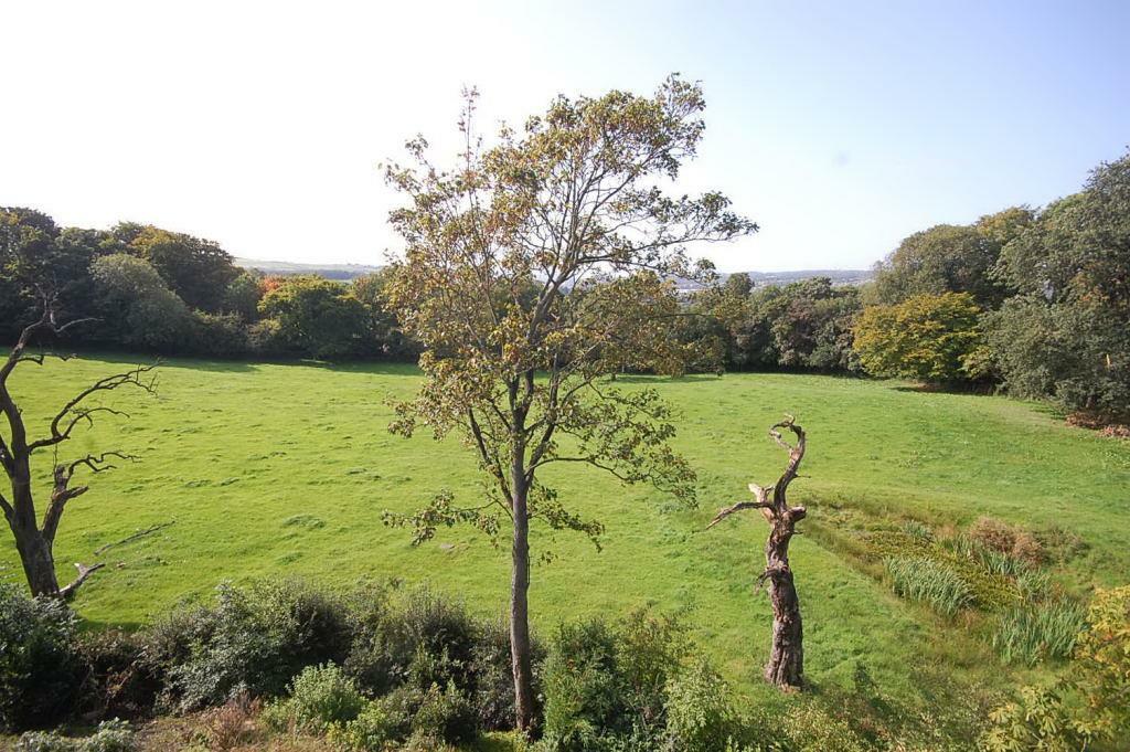 autumn heights 27002.JPG