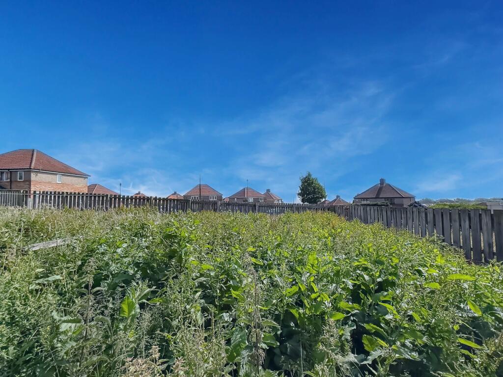 7blue T202508181100.jpg